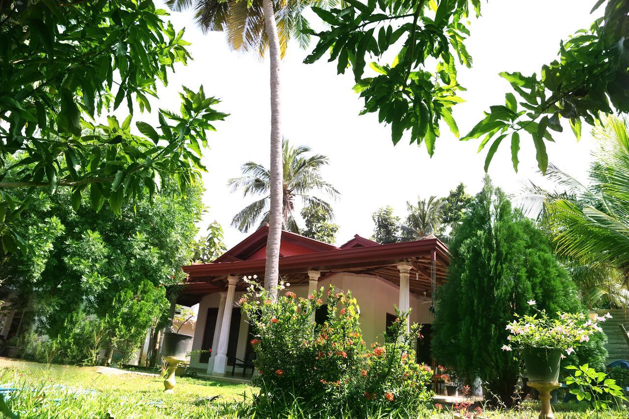 New Vilard Tissamaharama Exterior photo