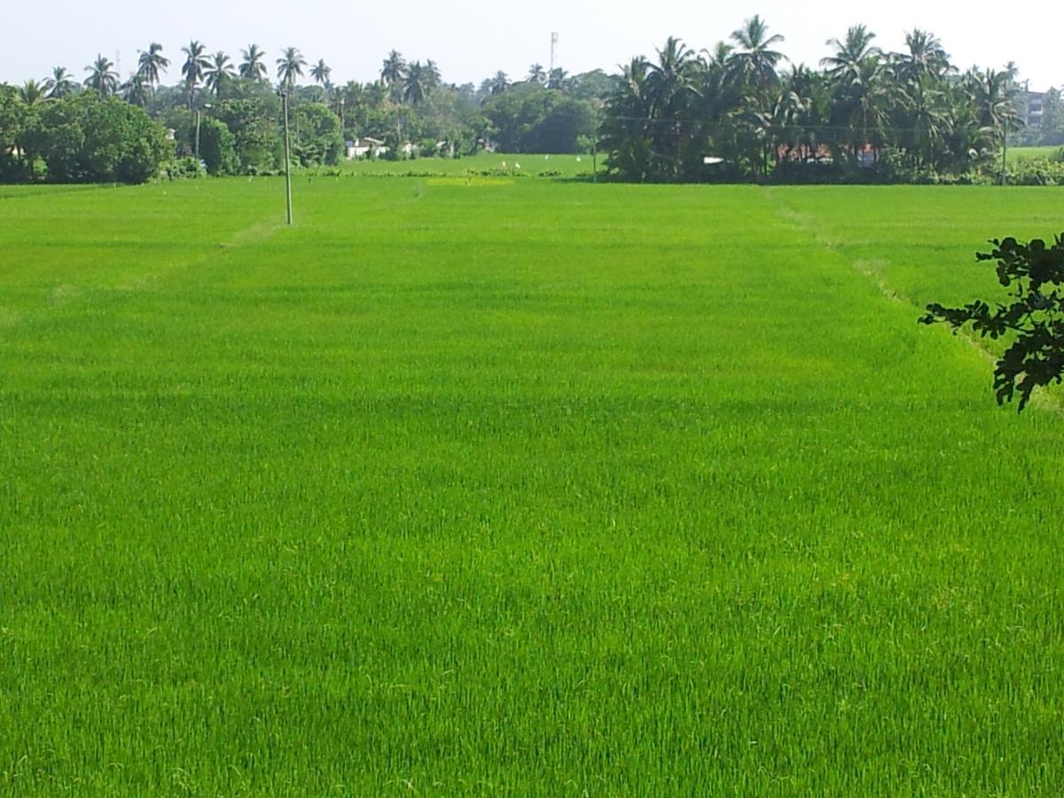 New Vilard Tissamaharama Exterior photo
